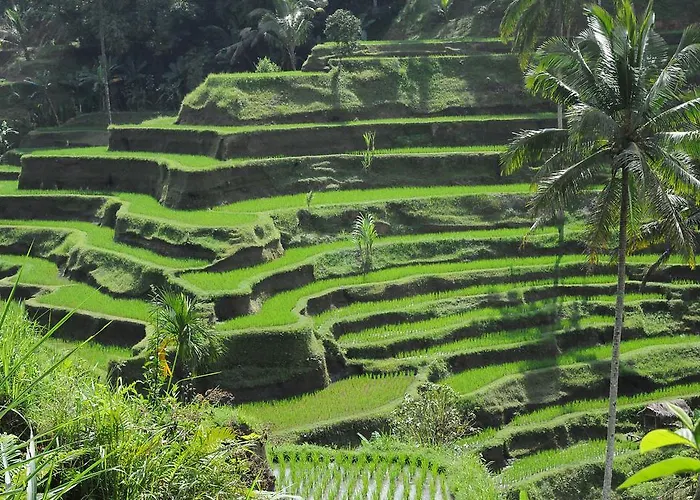 Appartamento Flora Bali *